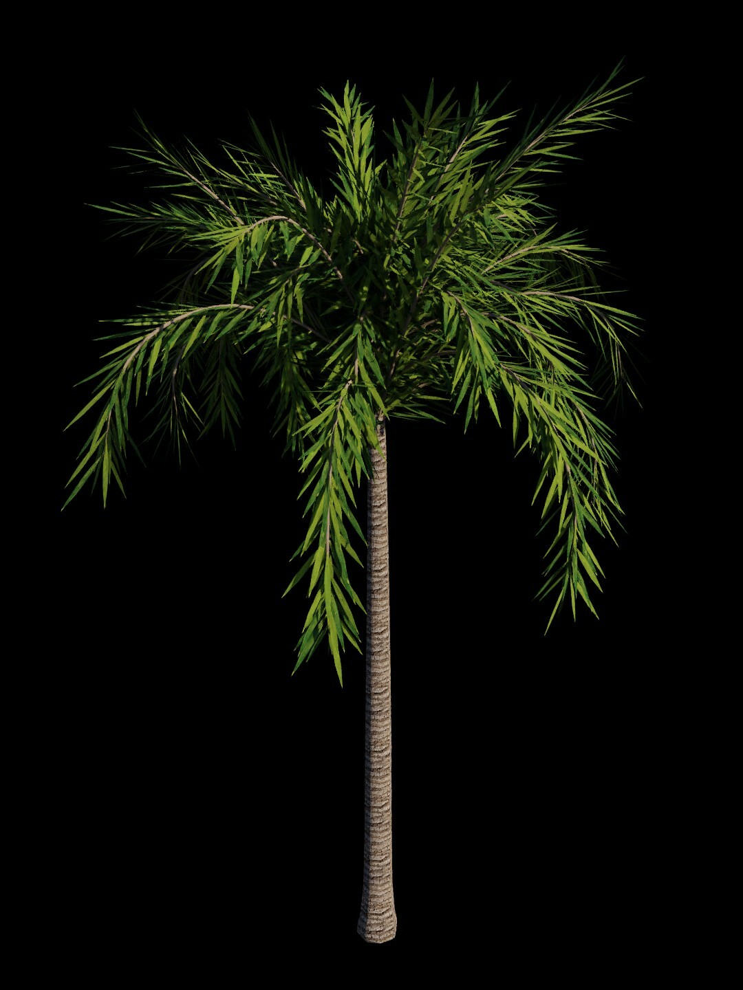 ArtStation - Palm Tree Animated and Rigged Low-poly 3D model | Resources