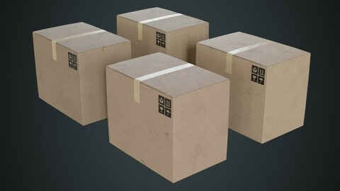 Cardboard Box 1B