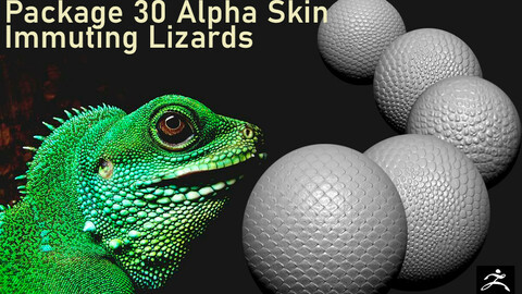 Package 30 Alpha Skin-Immuting Lizards