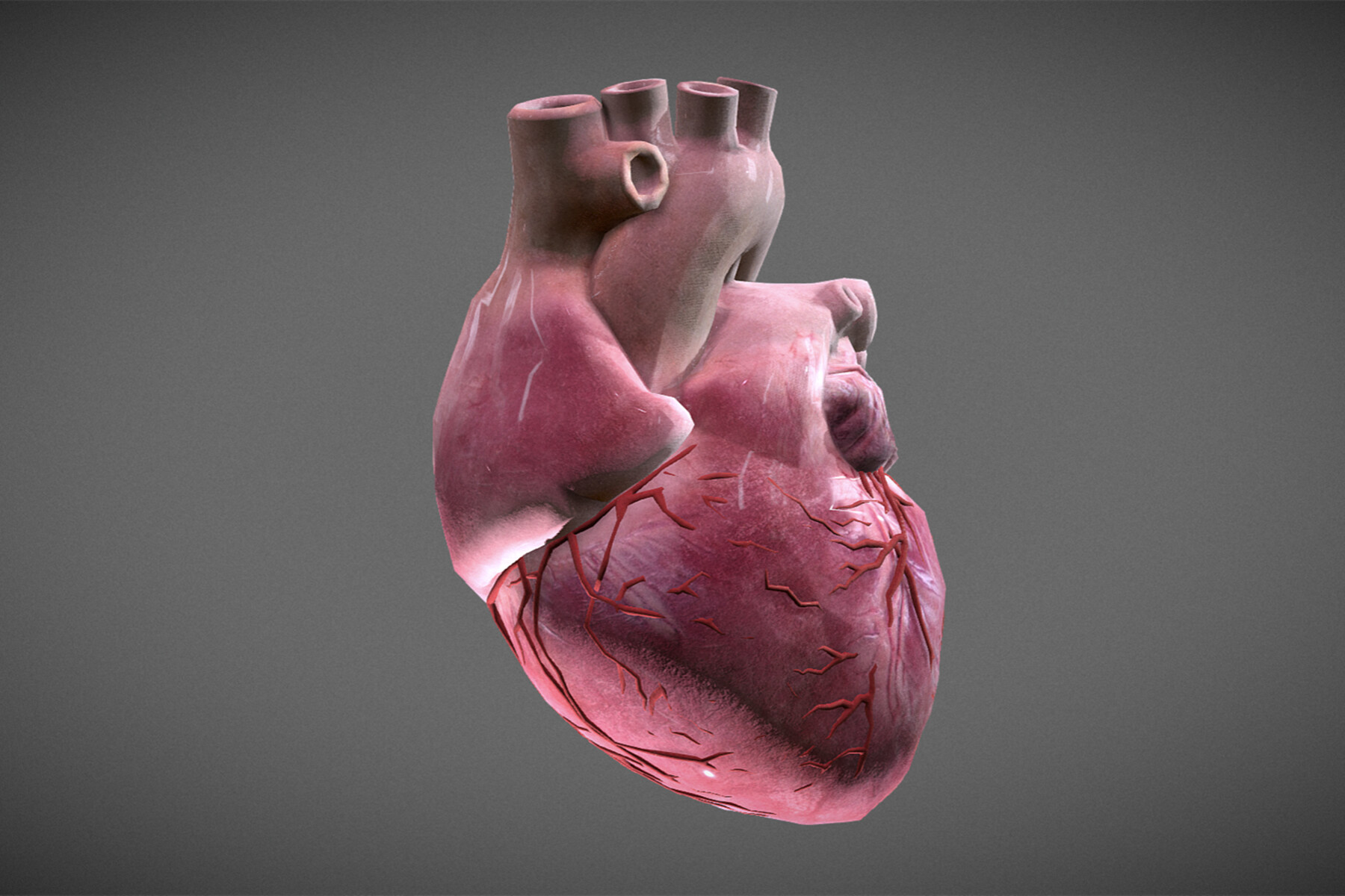 ArtStation - Human Heart | Resources