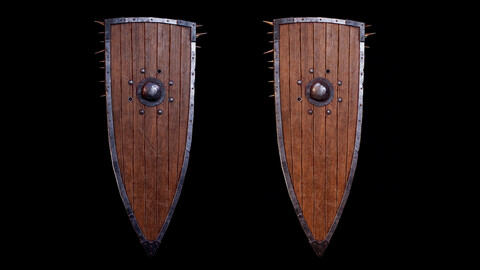 Shield and Free sword