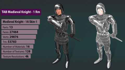 TAB Medieval Knight - 1Rm A - Skin1
