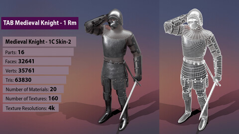 TAB Medieval Knight - 1Rm C - Skin2