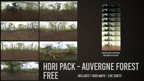 FREE HDRI Pack - Forest (Auvergne - France)