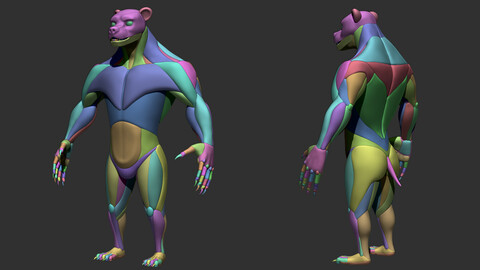 Werebear Body Block Out Basemesh