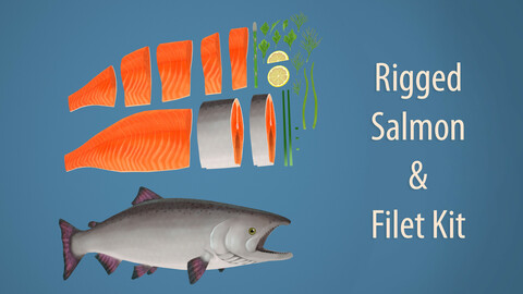 Salmon Rigg and Filet Kit