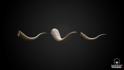 Elephant Fin LowPoly