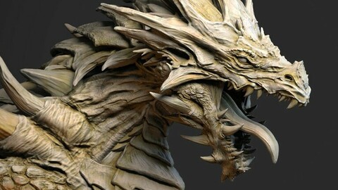 Dragon Bust Print