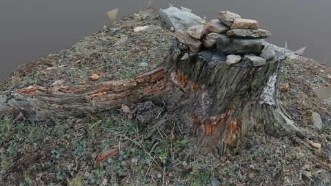 Photoscan_OBJ_0085_only HighPoly Mesh (16K Texture)