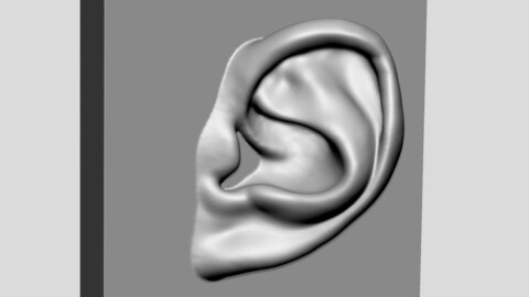 Ear Printable