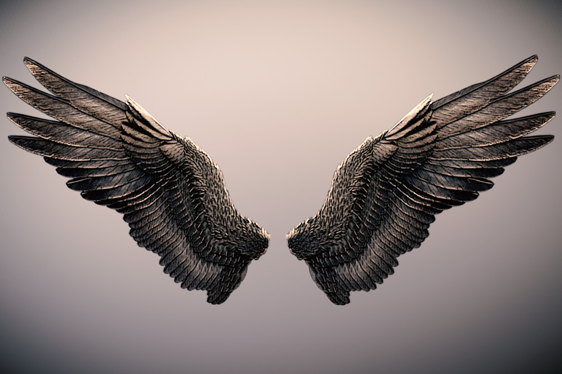 animation wings 3d