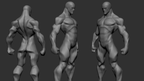 Stylized Basebody