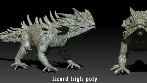 Zbrush highpoly lizard