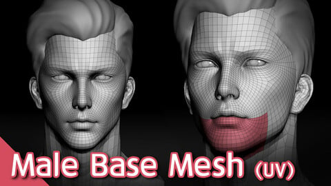 Male Head Base mesh