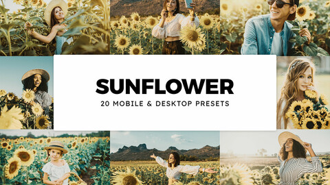 20 Sunflower LUTs and Lightroom Presets