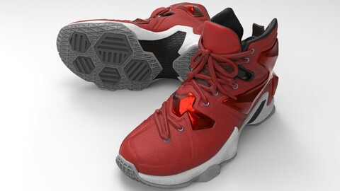 Lebron James - Nike Basketball Shoes