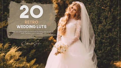 20 Retro Wedding LUTs Pack