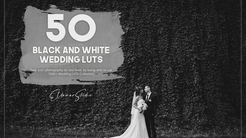 50 Black and White Wedding LUTs Pack