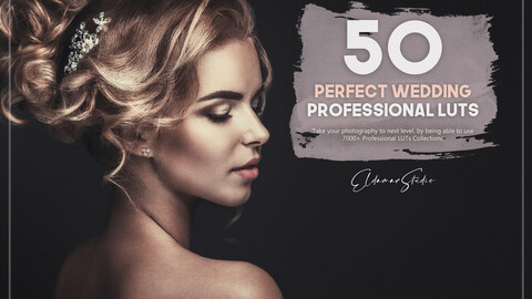 50 Perfect Wedding LUTs Pack