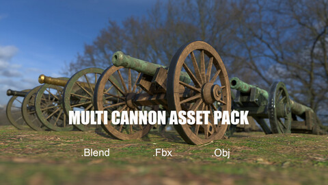 Multi Cannon Asset Pack