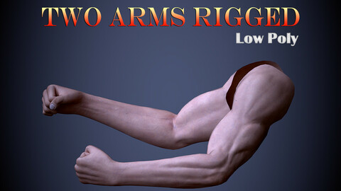 Two Arms Rigged Low-poly