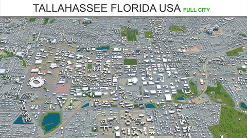 Tallahassee city Florida USA 3d model 50km