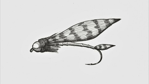 Muddler Minnow with bead