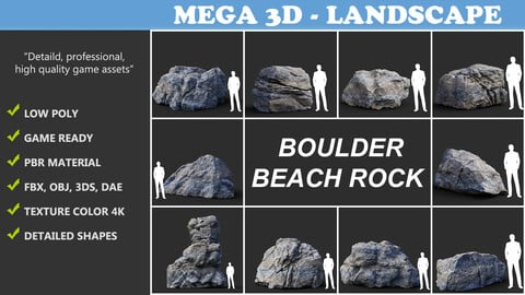 Gray Boulder Beach Rock Collection 210110