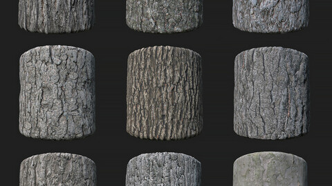 Barks Collection PBR Textures
