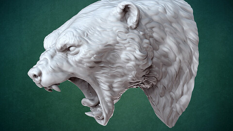 Bust of Polar bear 3D print model