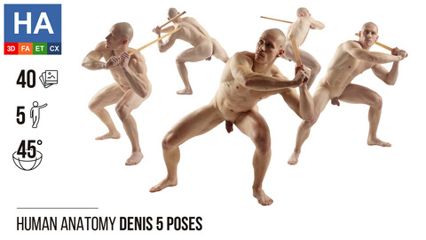 Human Anatomy | Denis 5 Fighting Poses | 40 Photos