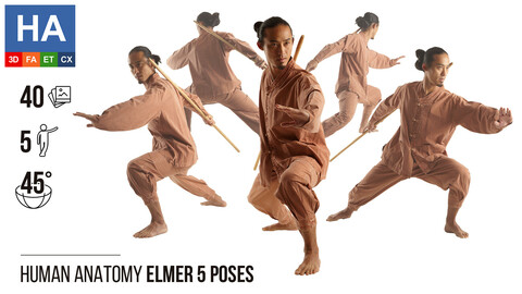 Human Anatomy | Elmer 5 Fighting Poses | 40 Photos