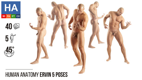 Human Anatomy | Ervin 5 Various Poses | 40 Photos