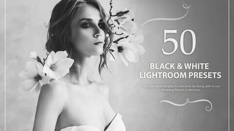 50 Black and White Wedding Lightroom Presets