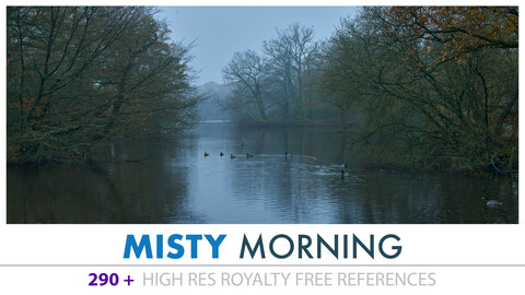 MISTY MORNING