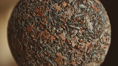 Oak leaves & pebbles forest ground - autumn