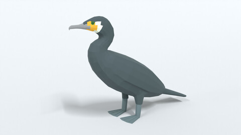 Low Poly Cartoon Great Cormorant