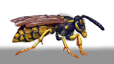 Wasp Character Sculpt