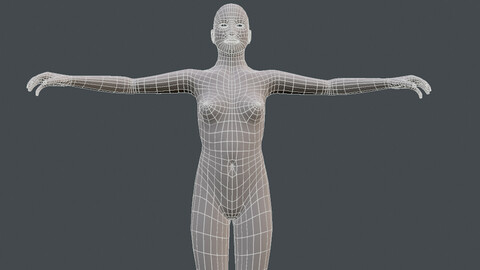 Female Base Mesh