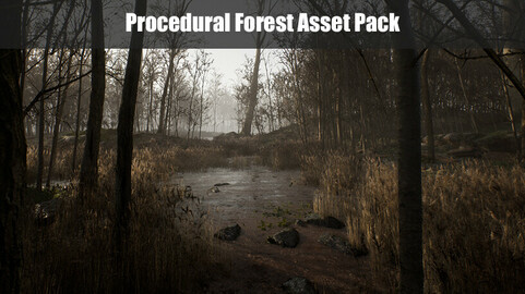 Procedural Forest Environment, Unreal Engine 4