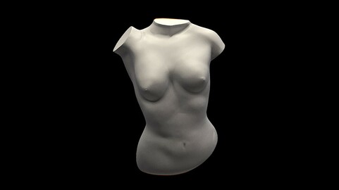The Female Torso