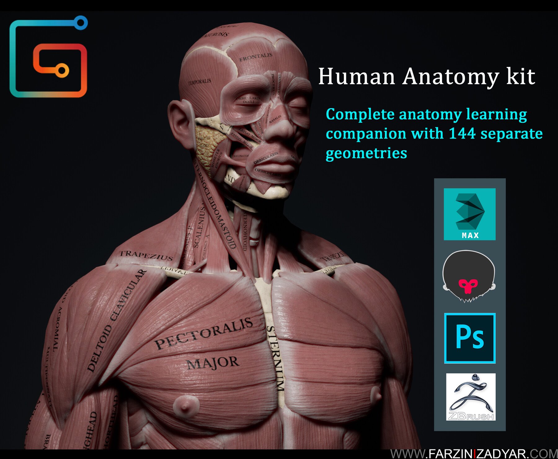 Human Anatomy Kit 3d