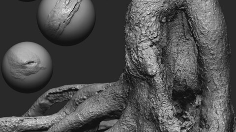 Trunk Detail Brushes Vol.2