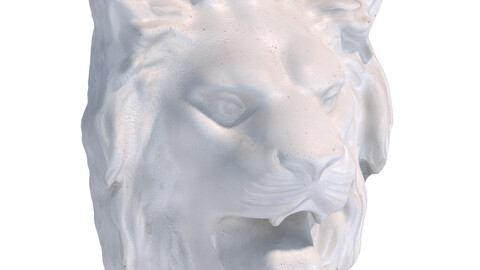 Plaster head of a lion 127