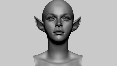 Stylized Female Head