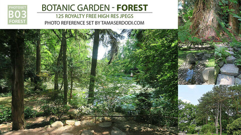 B03 Botanic Garden Forest Stones flowers