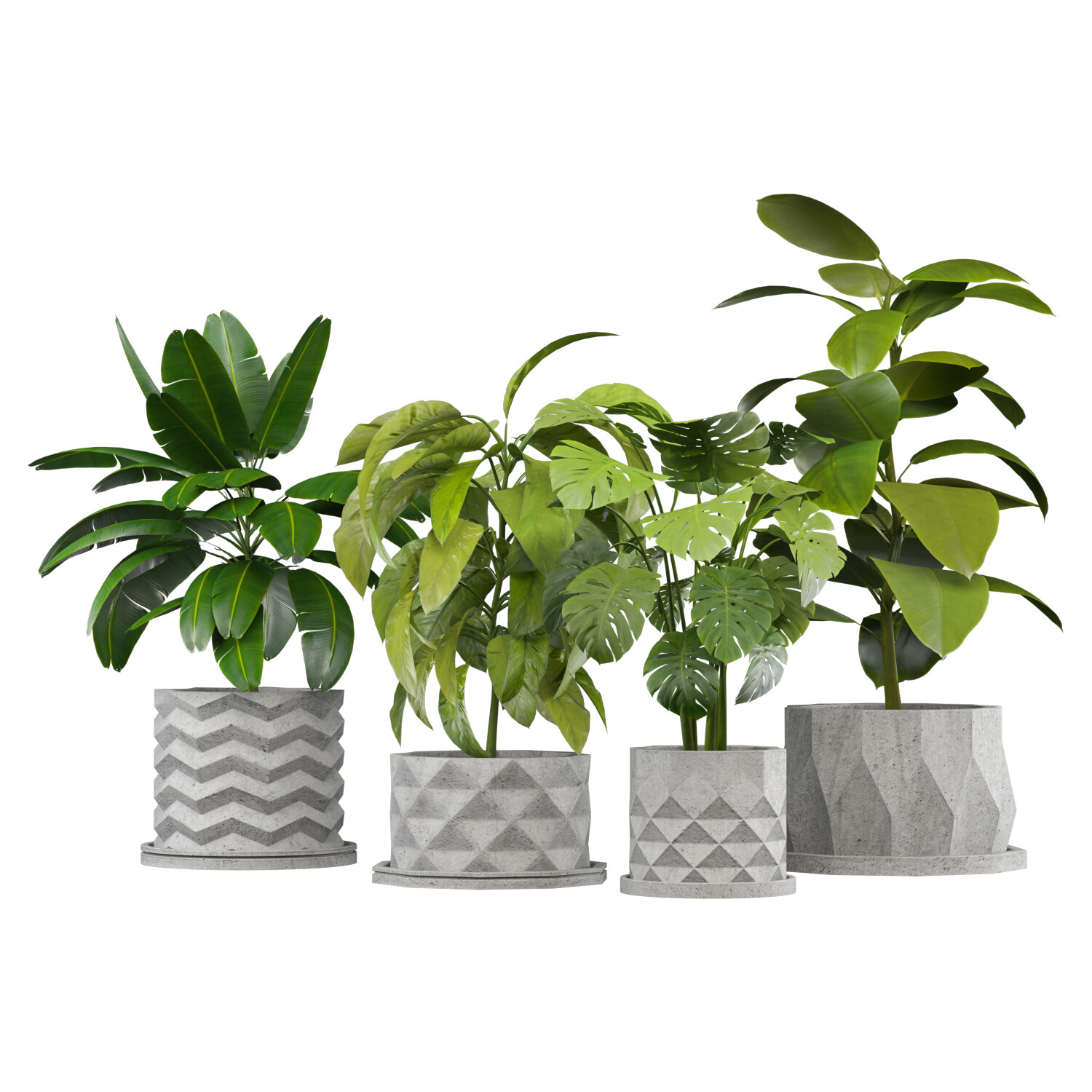 ArtStation - Set of Plants in Concerete Pots (4 Plants) (Set-001 ...