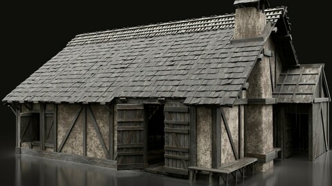 ENTERABLE AAA NEXT GEN MEDIEVAL CITY TOWN VILLAGE HUT