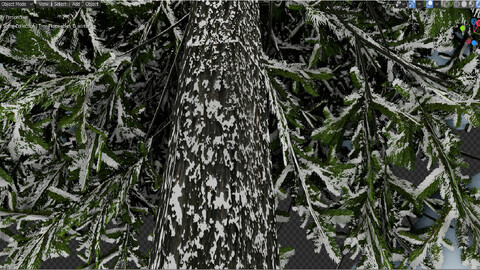 Tree_Picea-abies_winter