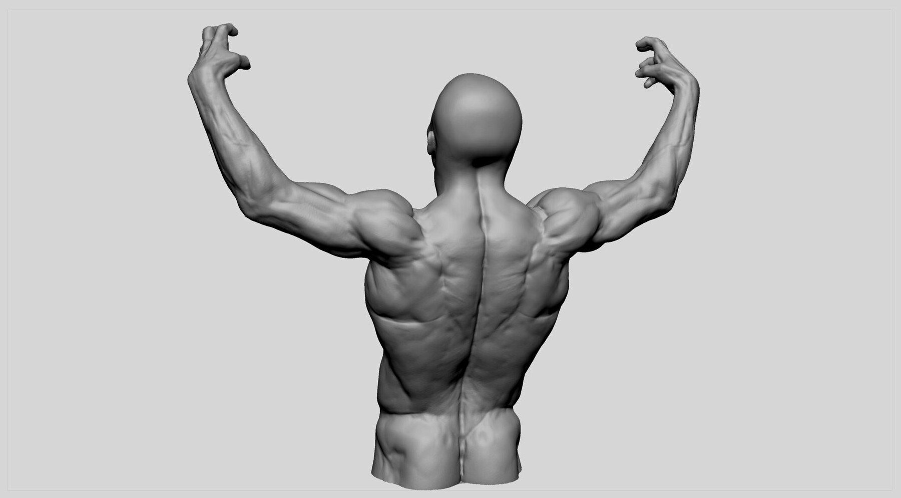 ArtStation - Male Torso Printable 02 | Resources